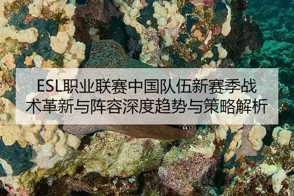 ESL职业联赛中国队伍新赛季战术革新与阵容深度趋势与策略解析