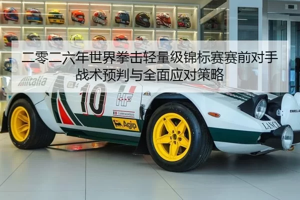 二零二六年世界拳击轻量级锦标赛赛前对手战术预判与全面应对策略