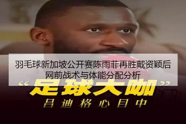 yu-mao-qiu-xin-jia-po-gong-kai-sai-chen-yu-fei-zai-sheng-dai-zi-ying-hou-wang-qian-zhan-shu-yu-ti-neng-fen-pei-fen-xi-2-485.jpg
